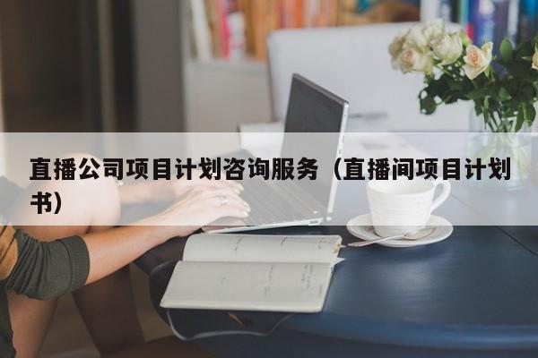 直播公司项目计划咨询服务（直播间项目计划书）