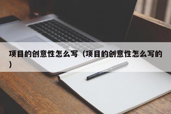 项目的创意性怎么写（项目的创意性怎么写的）