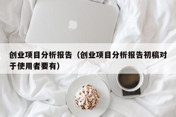 创业项目分析报告（创业项目分析报告初稿对于使用者要有）