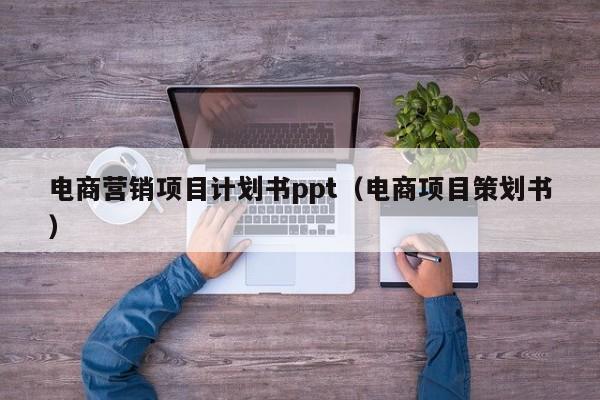 电商营销项目计划书ppt（电商项目策划书）