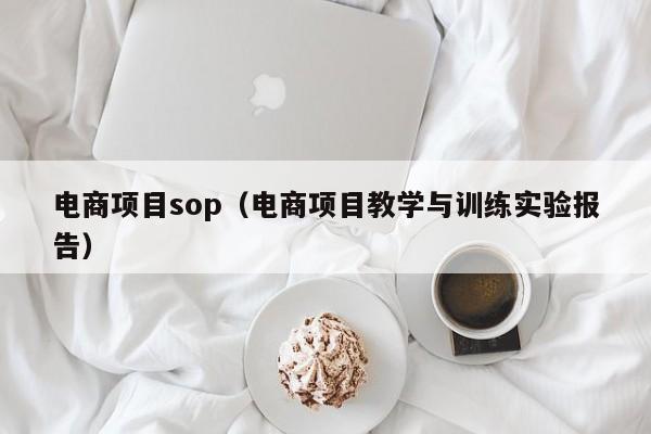 电商项目sop（电商项目教学与训练实验报告）