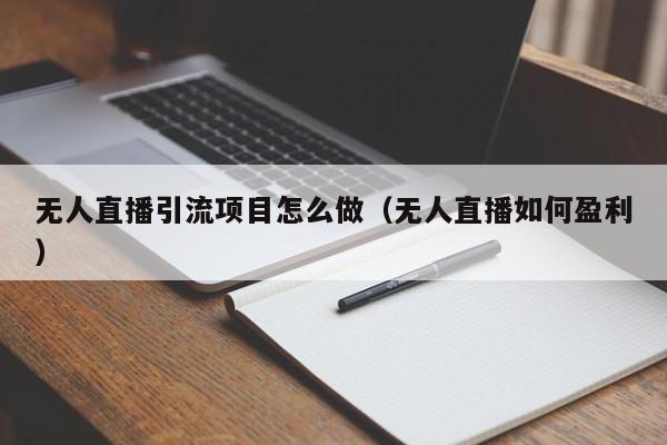 无人直播引流项目怎么做（无人直播如何盈利）