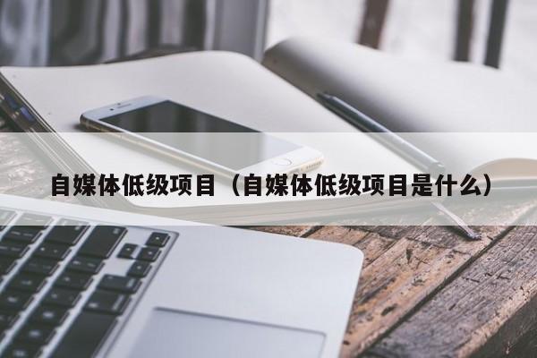 自媒体低级项目（自媒体低级项目是什么）