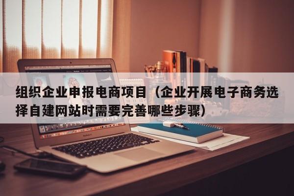 组织企业申报电商项目（企业开展电子商务选择自建网站时需要完善哪些步骤）