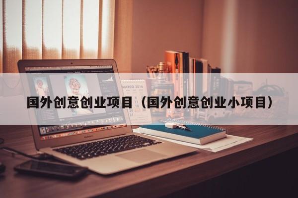 国外创意创业项目（国外创意创业小项目）