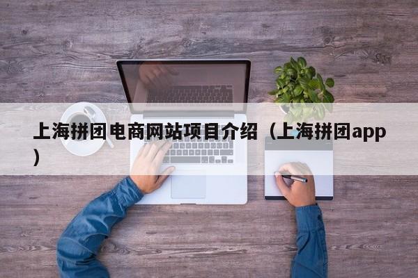 上海拼团电商网站项目介绍（上海拼团app）