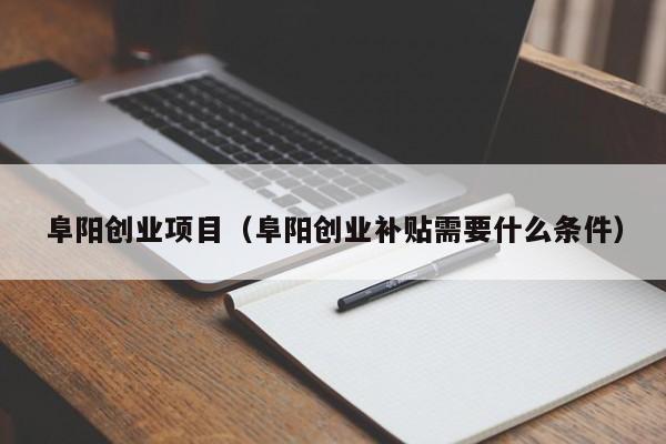 阜阳创业项目（阜阳创业补贴需要什么条件）