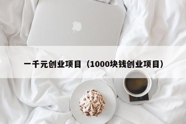 一千元创业项目（1000块钱创业项目）