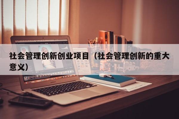社会管理创新创业项目（社会管理创新的重大意义）