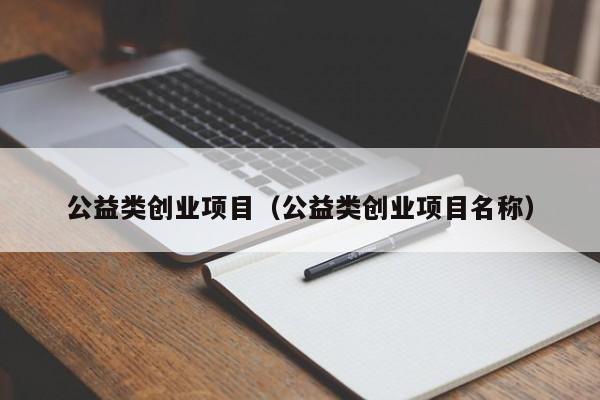 公益类创业项目（公益类创业项目名称）