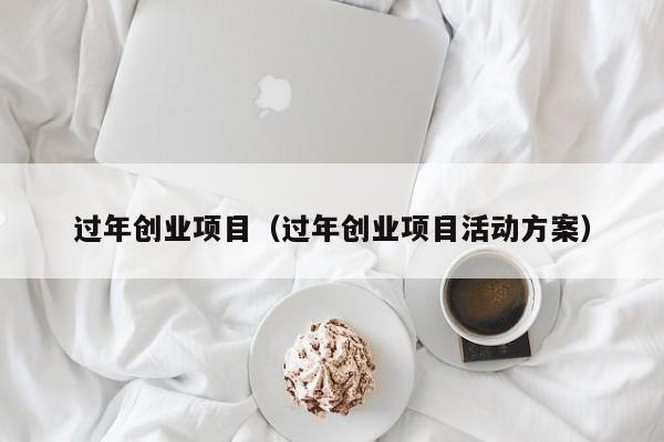过年创业项目（过年创业项目活动方案）