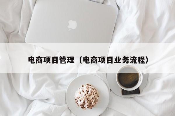 电商项目管理（电商项目业务流程）
