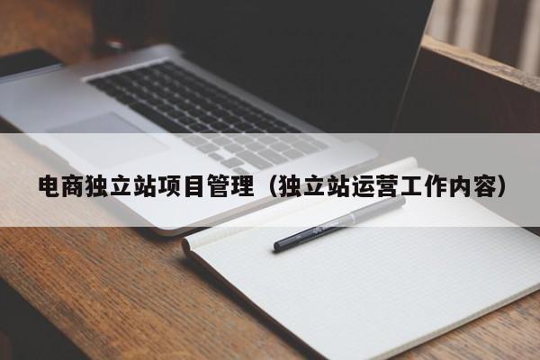 电商独立站项目管理（独立站运营工作内容）