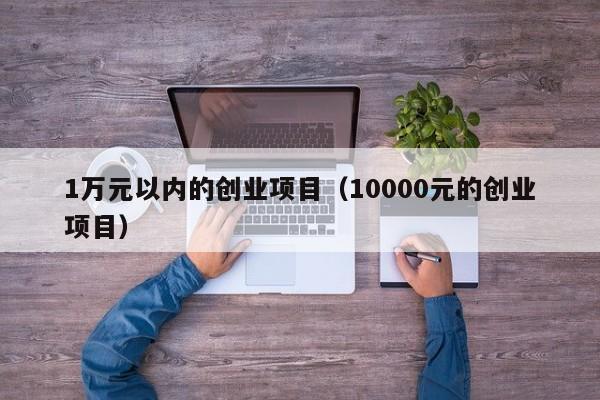 1万元以内的创业项目（10000元的创业项目）