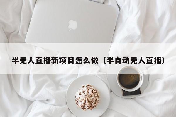 半无人直播新项目怎么做（半自动无人直播）