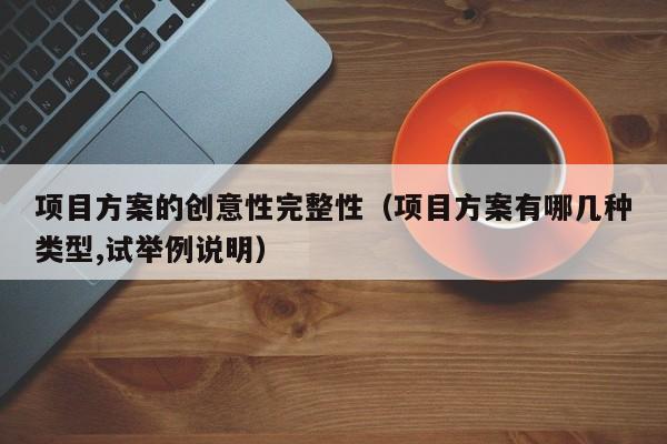 项目方案的创意性完整性（项目方案有哪几种类型,试举例说明）