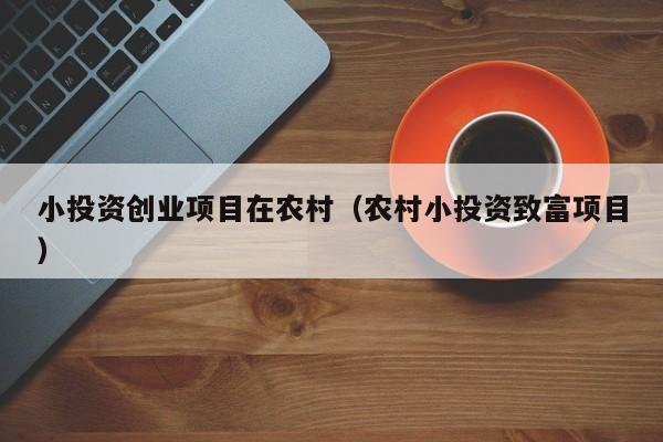 小投资创业项目在农村（农村小投资致富项目）