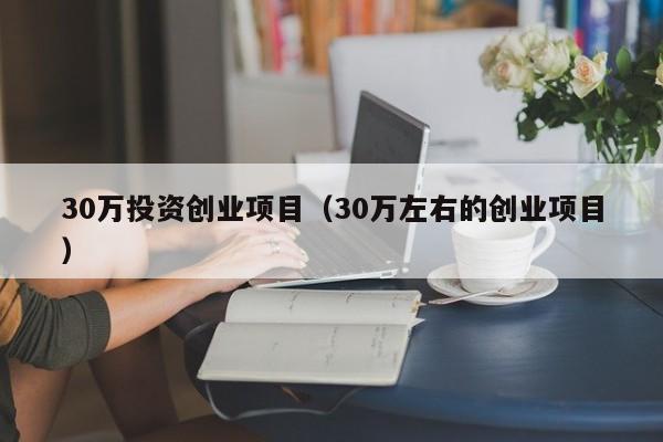 30万投资创业项目（30万左右的创业项目）
