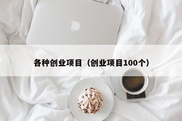各种创业项目（创业项目100个）