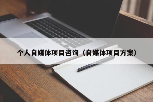 个人自媒体项目咨询（自媒体项目方案）