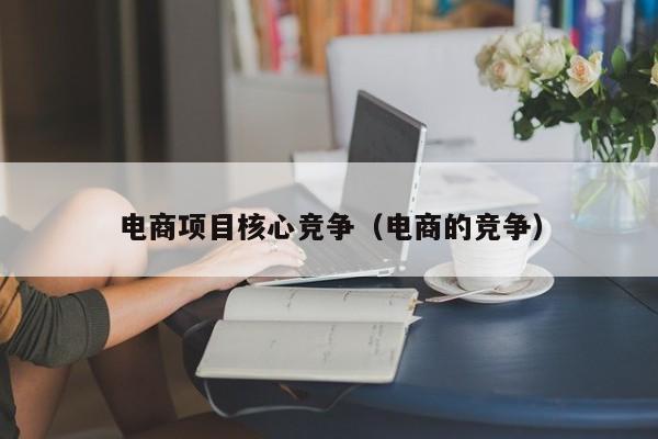 电商项目核心竞争（电商的竞争）