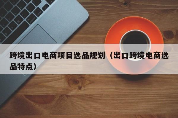 跨境出口电商项目选品规划（出口跨境电商选品特点）