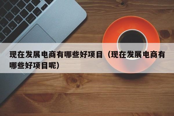 现在发展电商有哪些好项目（现在发展电商有哪些好项目呢）