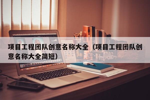 项目工程团队创意名称大全（项目工程团队创意名称大全简短）