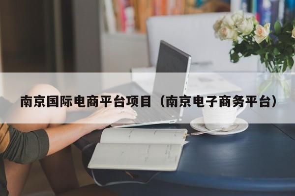 南京国际电商平台项目（南京电子商务平台）