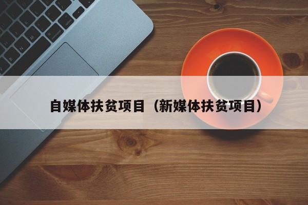 自媒体扶贫项目（新媒体扶贫项目）