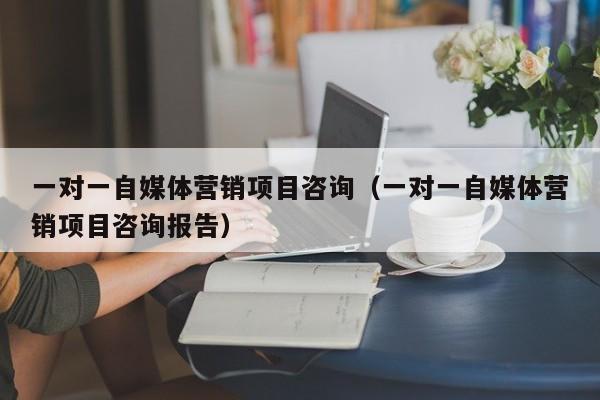一对一自媒体营销项目咨询（一对一自媒体营销项目咨询报告）