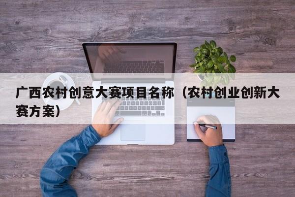 广西农村创意大赛项目名称（农村创业创新大赛方案）