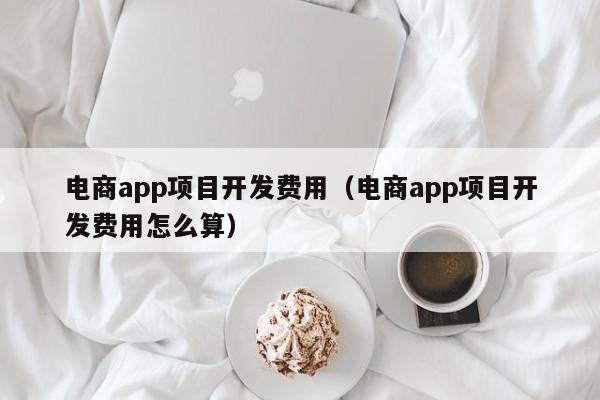 电商app项目开发费用（电商app项目开发费用怎么算）