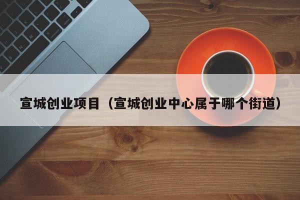 宣城创业项目（宣城创业中心属于哪个街道）