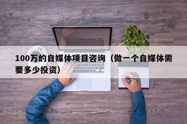 100万的自媒体项目咨询（做一个自媒体需要多少投资）