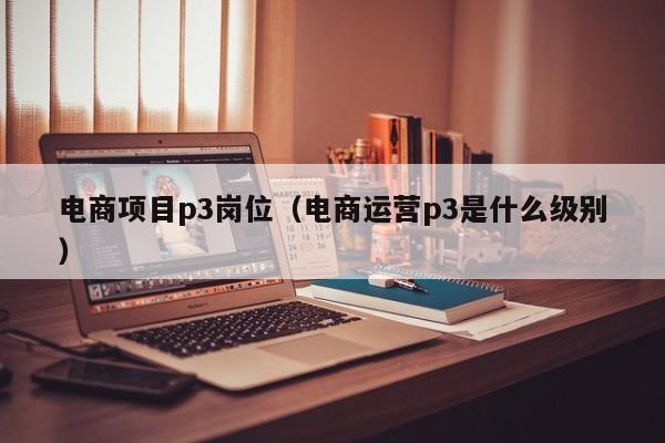 电商项目p3岗位（电商运营p3是什么级别）