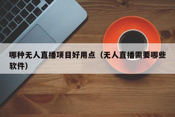 哪种无人直播项目好用点（无人直播需要哪些软件）