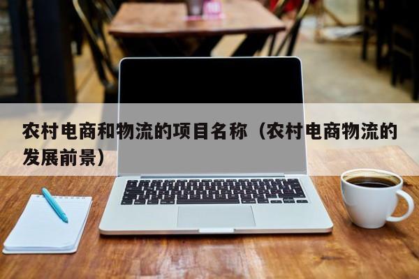 农村电商和物流的项目名称（农村电商物流的发展前景）