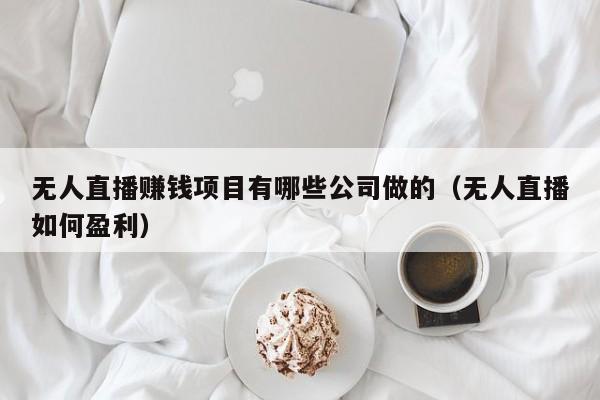 无人直播赚钱项目有哪些公司做的（无人直播如何盈利）