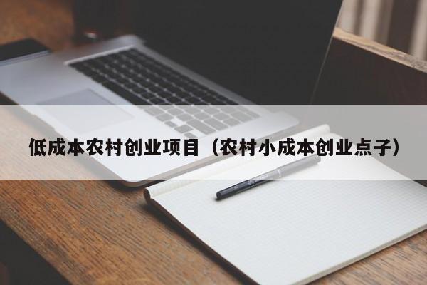 低成本农村创业项目（农村小成本创业点子）