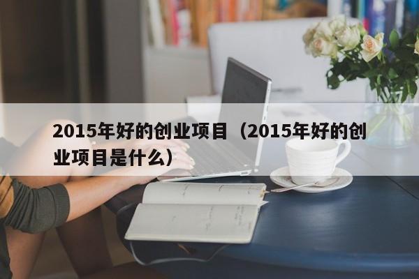 2015年好的创业项目（2015年好的创业项目是什么）