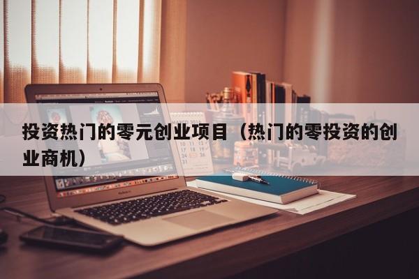 投资热门的零元创业项目（热门的零投资的创业商机）