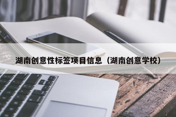 湖南创意性标签项目信息（湖南创意学校）