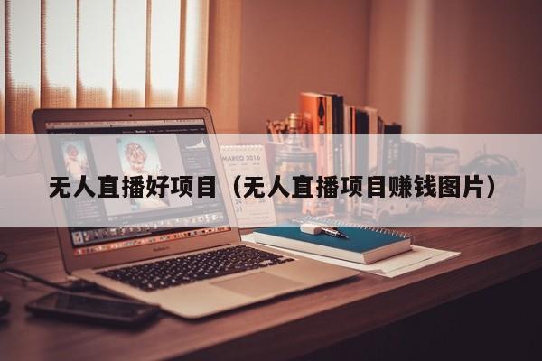 无人直播好项目（无人直播项目赚钱图片）