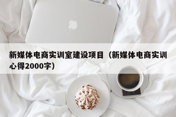 新媒体电商实训室建设项目（新媒体电商实训心得2000字）