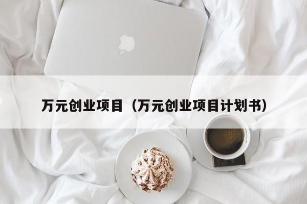 万元创业项目（万元创业项目计划书）