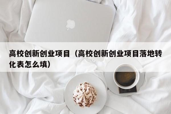 高校创新创业项目（高校创新创业项目落地转化表怎么填）