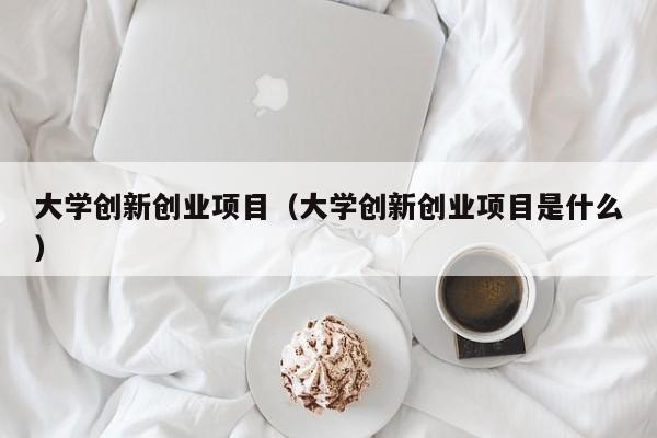 大学创新创业项目（大学创新创业项目是什么）