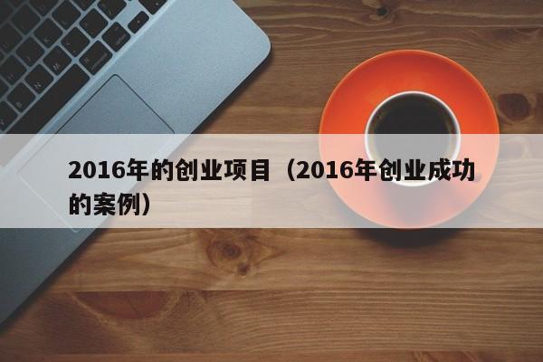 2016年的创业项目（2016年创业成功的案例）